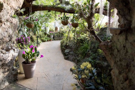 botanicka-zahrada-hl-m-prahy-troja-fata-morgana